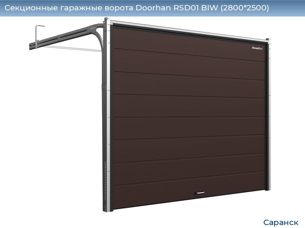 Секционные гаражные ворота Doorhan RSD01 BIW (2800*2500), saransk.doorhan.ru