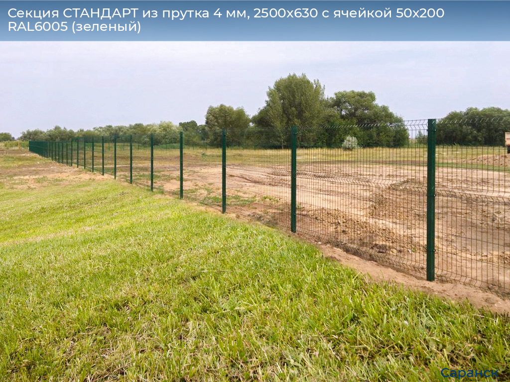 Секция СТАНДАРТ из прутка 4 мм, 2500x630 с ячейкой 50х200 RAL6005 (зеленый), saransk.doorhan.ru